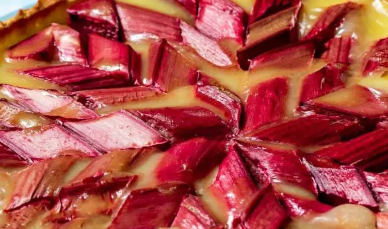 Nigella Rhubarb Tart Recipe 1