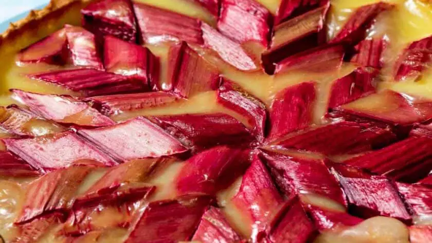 Nigella Rhubarb Tart Recipe 1