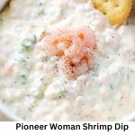 Pioneer Woman King Ranch Chicken Recipe