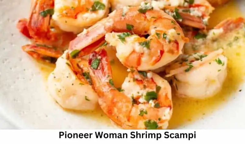 Pioneer Woman Shrimp Scampi Recipe