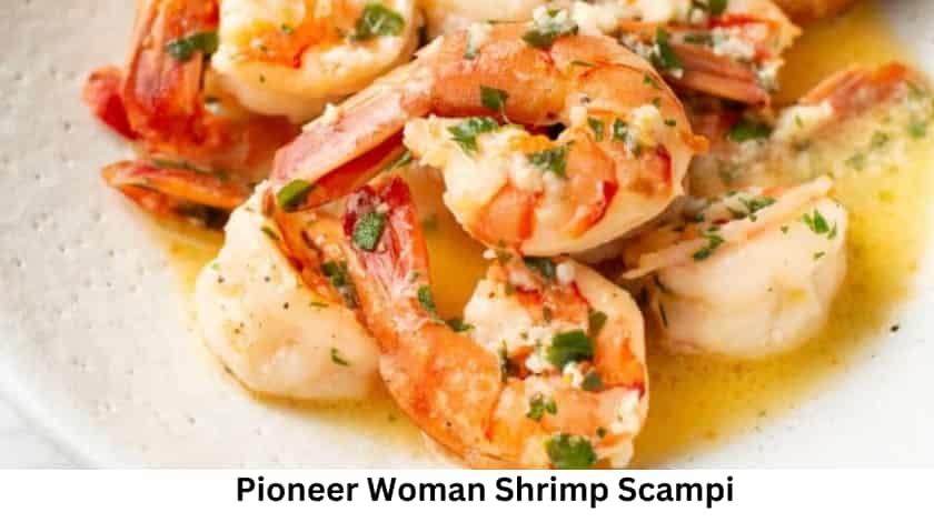 Pioneer Woman Shrimp Scampi Recipe