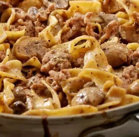 Pioneer Woman Slow Cooker Beef Stroganoff Recipe