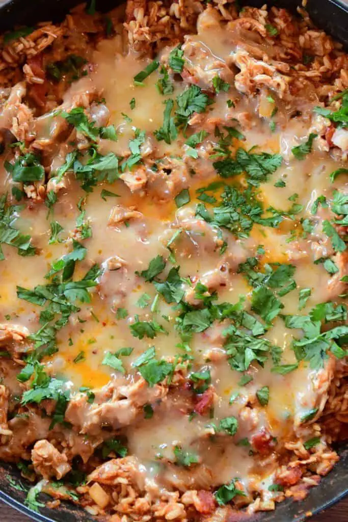 Pioneer Woman Tex Mex Chicken Casserole Recipe