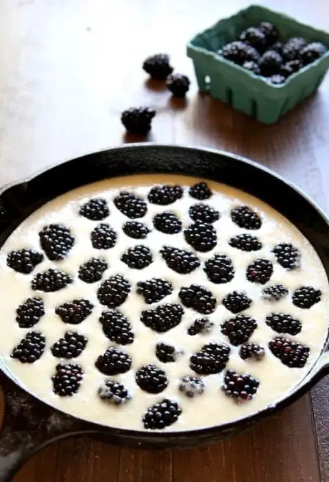 Pioneer Woman Blackberry Cobbler With Pie Crust