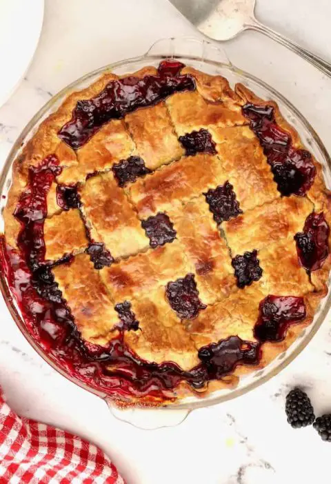 Pioneer Woman Blackberry Pie