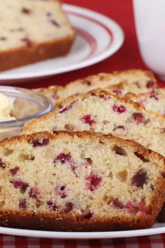 Pioneer Woman Cranberry Nut Bread Recipe