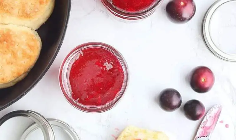 Pioneer Woman Muscadine Jelly Recipe