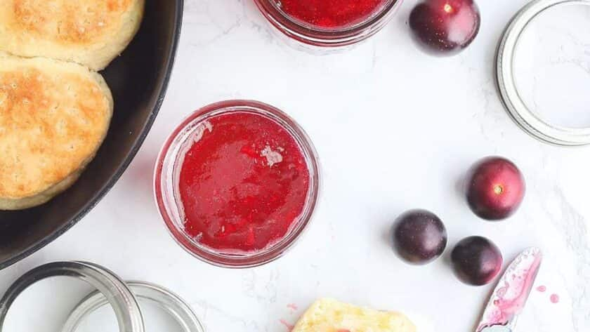 Pioneer Woman Muscadine Jelly Recipe