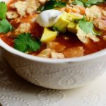 Pioneer Woman Chicken Tortilla Soup